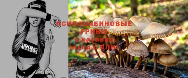 винт Белокуриха
