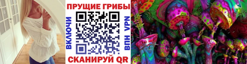 blacksprut вход  Высоковск  Псилоцибиновые грибы мухоморы 